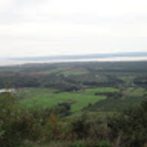 Meet your Posher, Marta